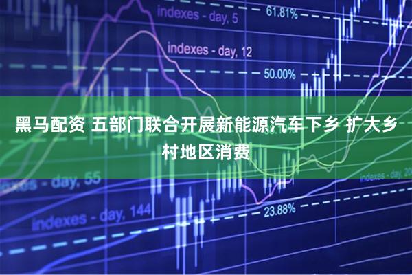 黑马配资 五部门联合开展新能源汽车下乡 扩大乡村地区消费