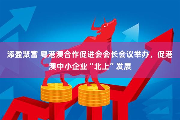 添盈聚富 粤港澳合作促进会会长会议举办，促港澳中小企业“北上”发展