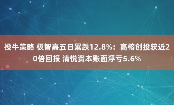 投牛策略 极智嘉五日累跌12.8%：高榕创投获近20倍回报 清悦资本账面浮亏5.6%
