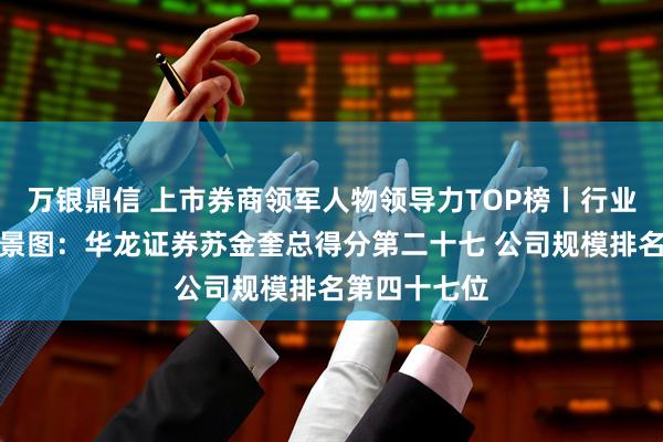万银鼎信 上市券商领军人物领导力TOP榜丨行业数据评价全景图：华龙证券苏金奎总得分第二十七 公司规模排名第四十七位