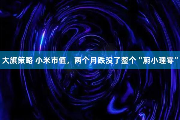 大旗策略 小米市值，两个月跌没了整个“蔚小理零”