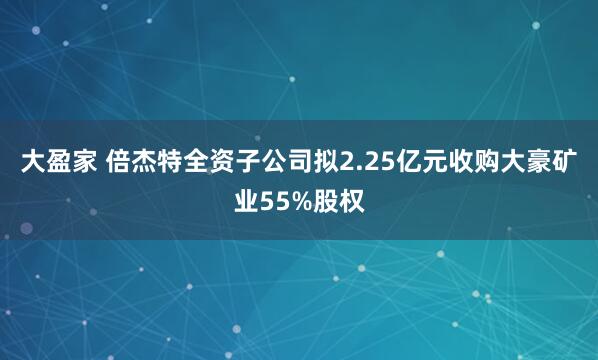 大盈家 倍杰特全资子公司拟2.25亿元收购大豪矿业55%股权