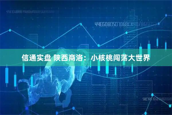 信通实盘 陕西商洛：小核桃闯荡大世界