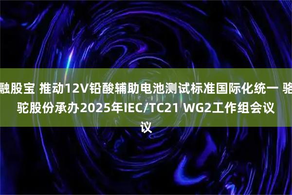融股宝 推动12V铅酸辅助电池测试标准国际化统一 骆驼股份承办2025年IEC/TC21 WG2工作组会议