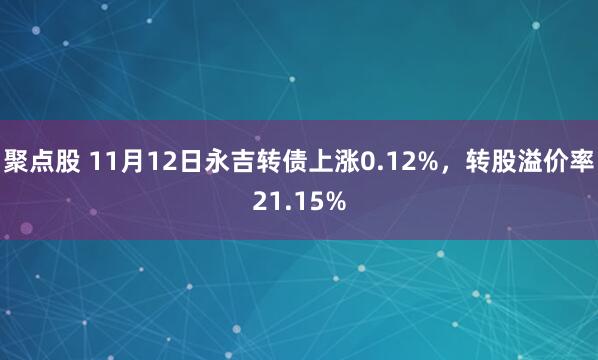 聚点股 11月12日永吉转债上涨0.12%,转股溢价率21.15%