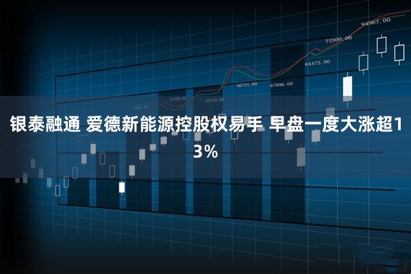 银泰融通 爱德新能源控股权易手 早盘一度大涨超13%